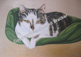 Katze Acryl auf Leinwand, 60 x 40 cm