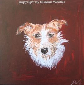 Jack Russel Terrier, Acryl auf Leinwand, 40 x 40 cm